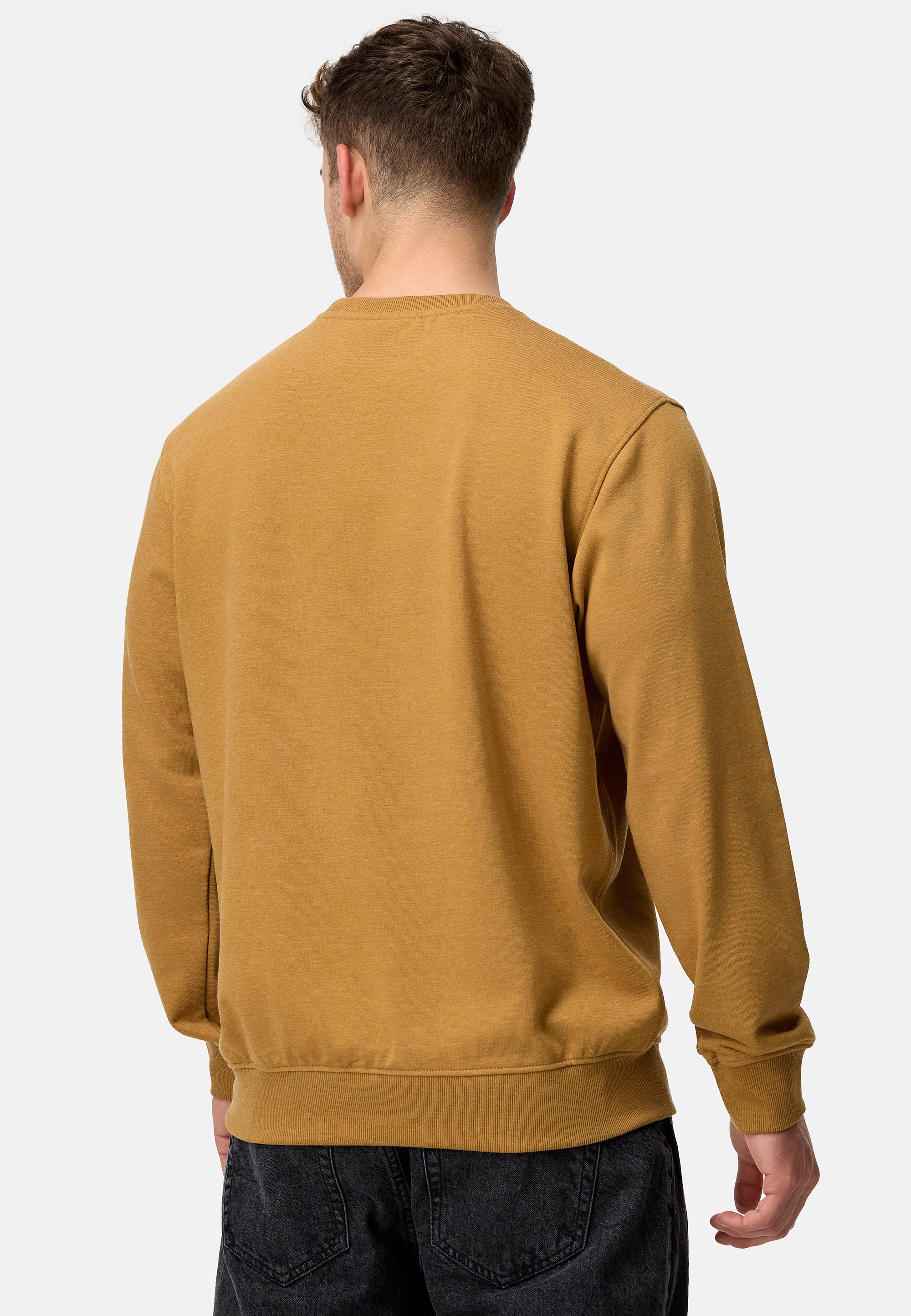 Sweatshirt INJulius Produktbild
