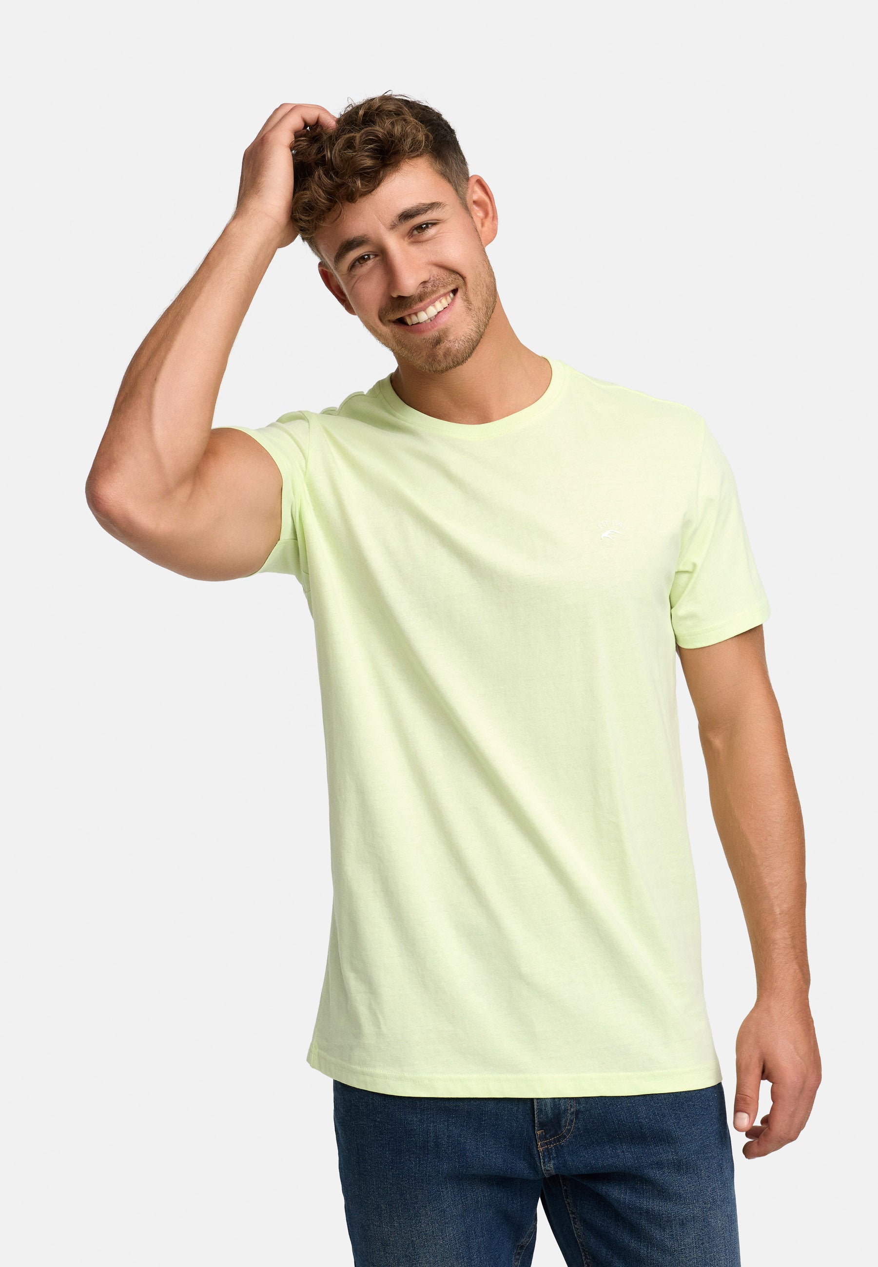 #farbe_lime-cream