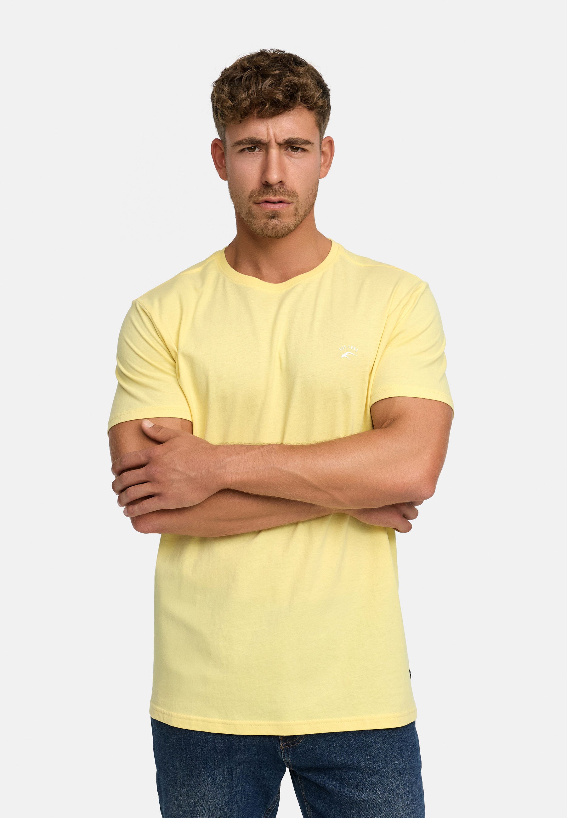 #farbe_pale-banana